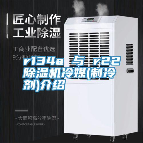 r134a 與 r22深夜福利视频网站冷媒(製冷劑)介紹