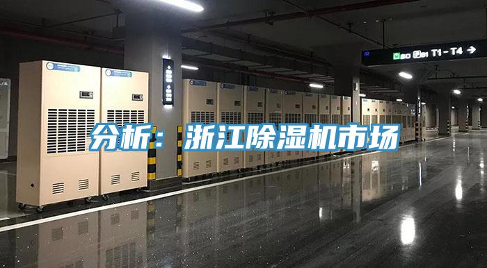 分析：浙江深夜福利视频网站市場