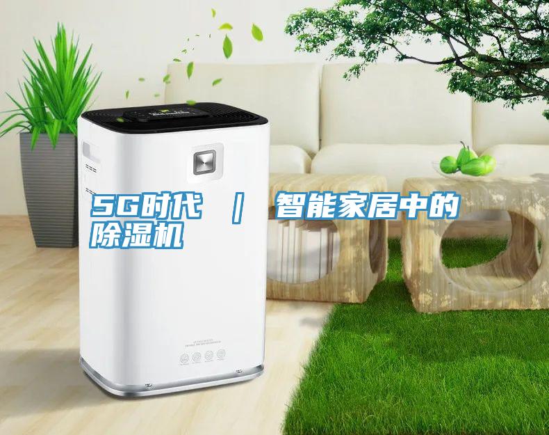 5G時代 ｜ 智能家居中的深夜福利视频网站