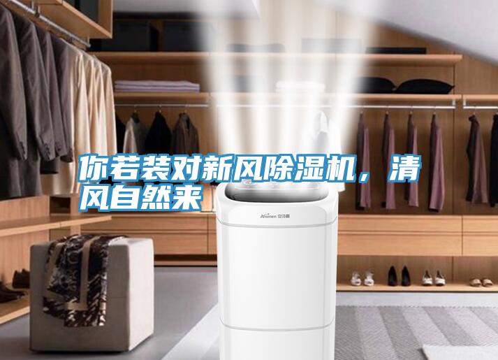 你若裝對新風深夜福利视频网站，清風自然來