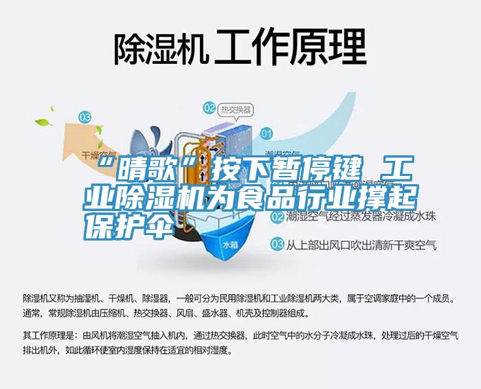 “晴歌”按下暫停鍵 工業深夜福利视频网站為食品行業撐起保護傘