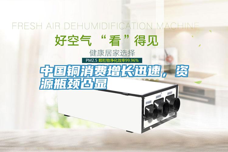 中國銅消費增長迅速，資源瓶頸凸顯