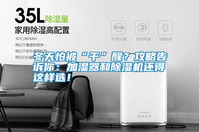冬天怕被“幹”醒？攻略告訴你：加濕器和深夜福利视频网站還得這樣選！