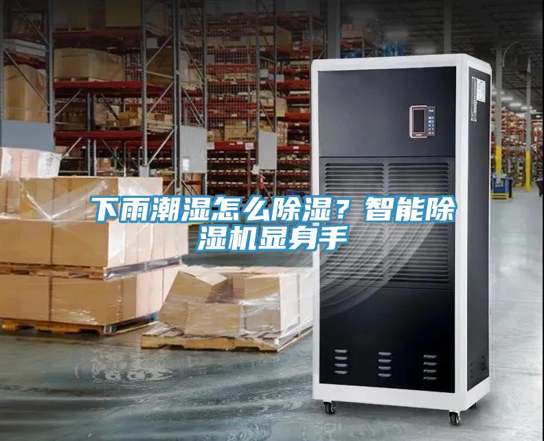 下雨潮濕怎麽除濕？智能深夜福利视频网站顯身手