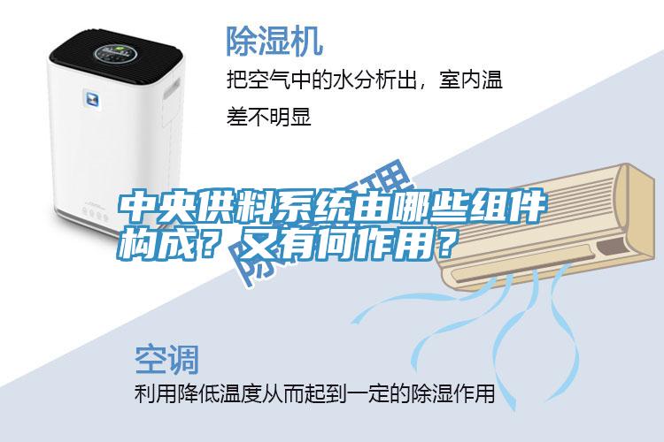 中央供料係統由哪些組件構成？又有何作用？