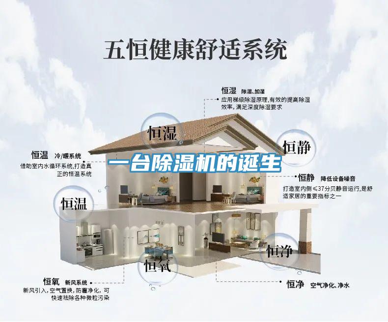 一台深夜福利视频网站的誕生