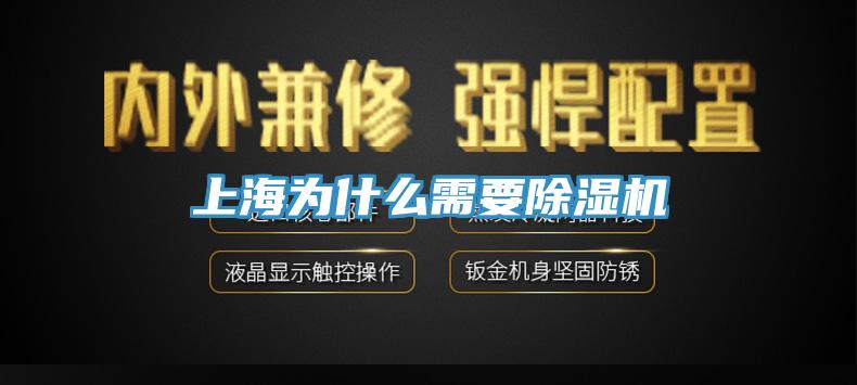 上海為什麽需要深夜福利视频网站
