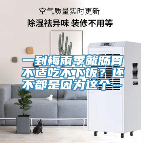 一到梅雨季就腸胃不適吃不下飯？還不都是因為這個…