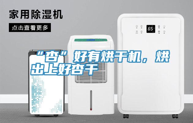 “杏”好有烘幹機，烘出上好杏幹