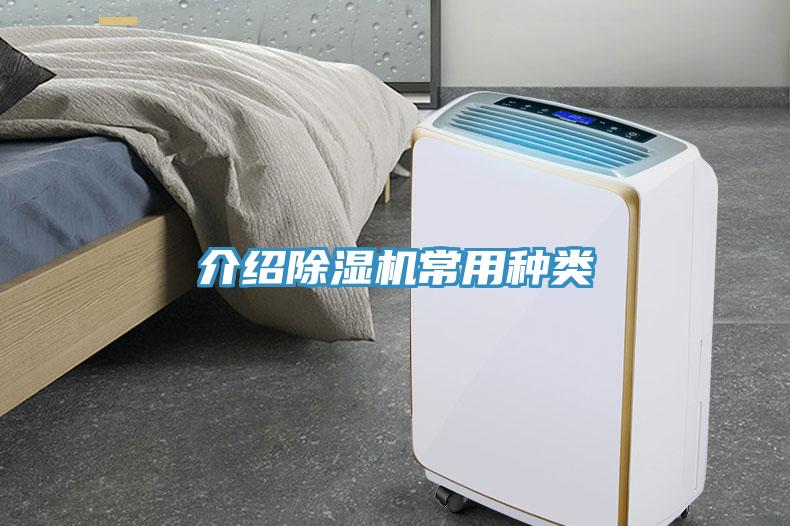 介紹深夜福利视频网站常用種類