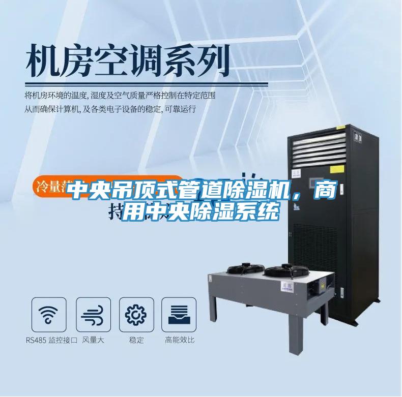 中央吊頂式管道深夜福利视频网站，商用中央除濕係統