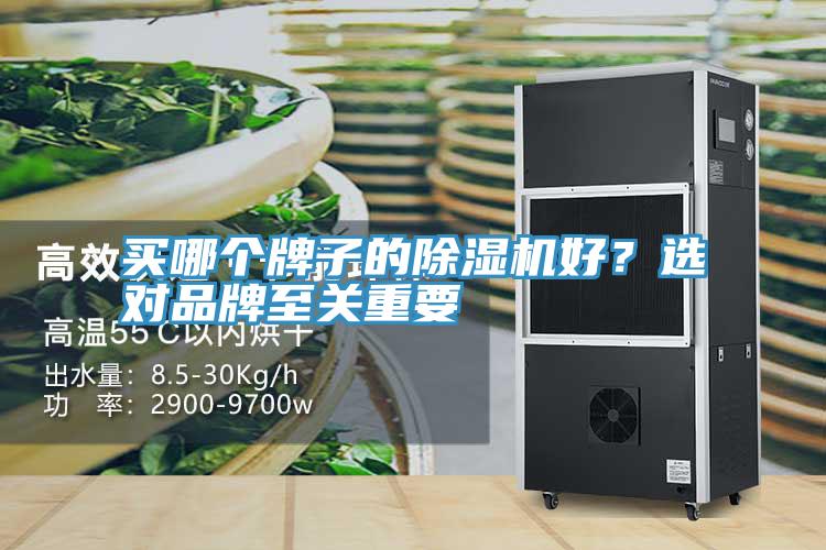 買哪個牌子的深夜福利视频网站好？選對品牌至關重要