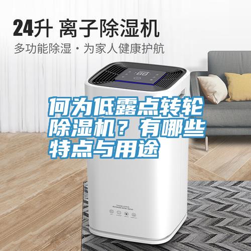 何為低露點轉輪深夜福利视频网站？有哪些特點與用途
