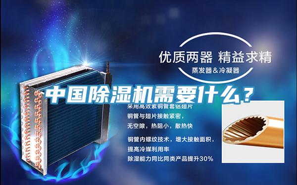 中國深夜福利视频网站需要什麽？
