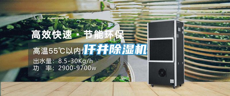 仟井深夜福利视频网站