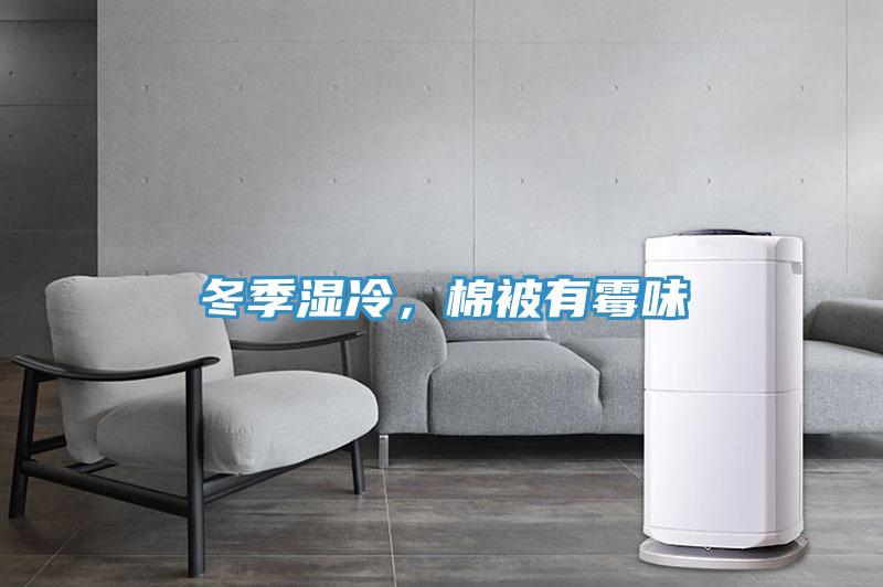冬季濕冷，棉被有黴味