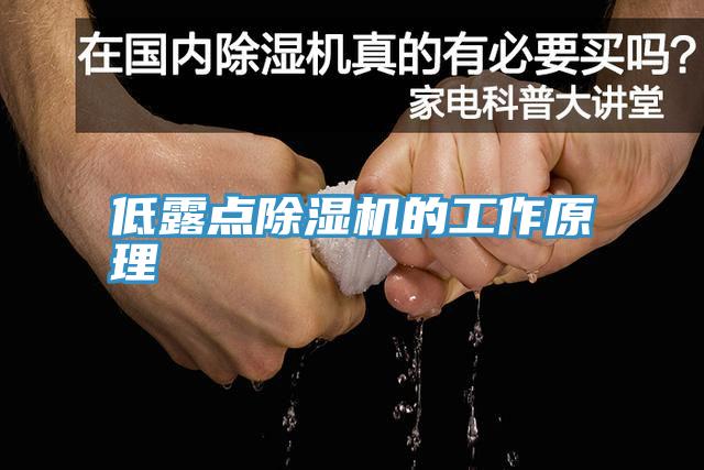 低露點深夜福利视频网站的工作原理