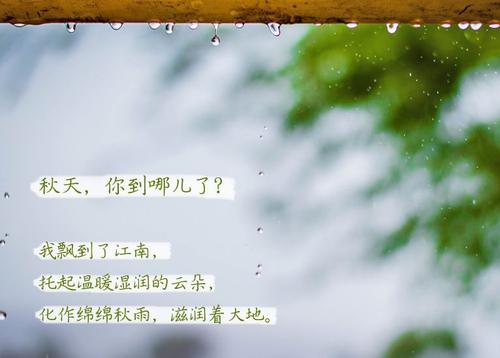 “無晴”陰雨天 “有晴”深夜福利视频网站