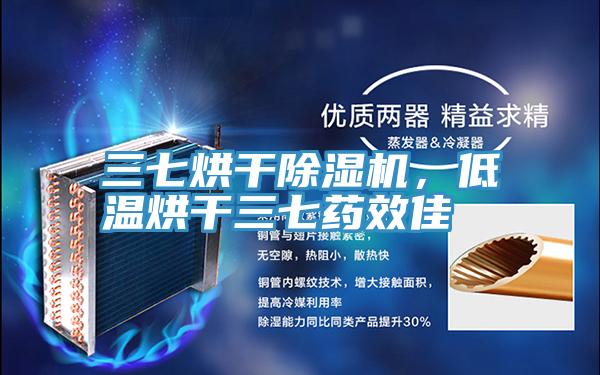 三七烘幹深夜福利视频网站，低溫烘幹三七藥效佳
