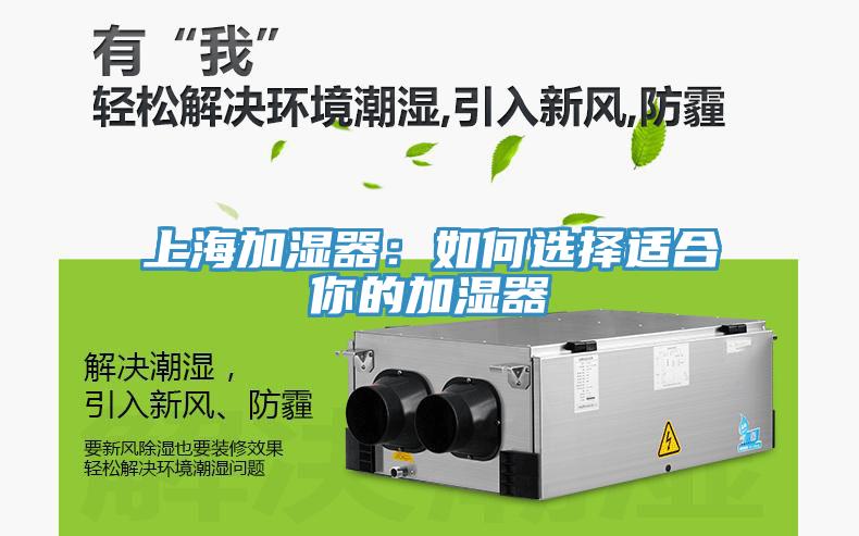 上海加濕器：如何選擇適合你的加濕器
