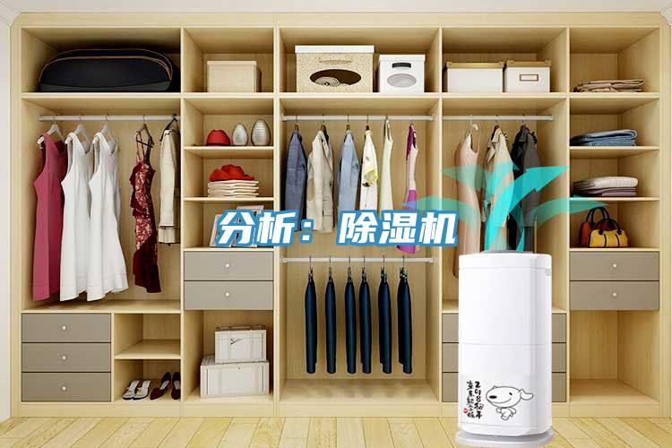 分析：深夜福利视频网站