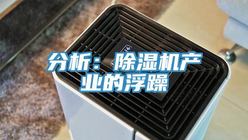 分析：深夜福利视频网站產業的浮躁