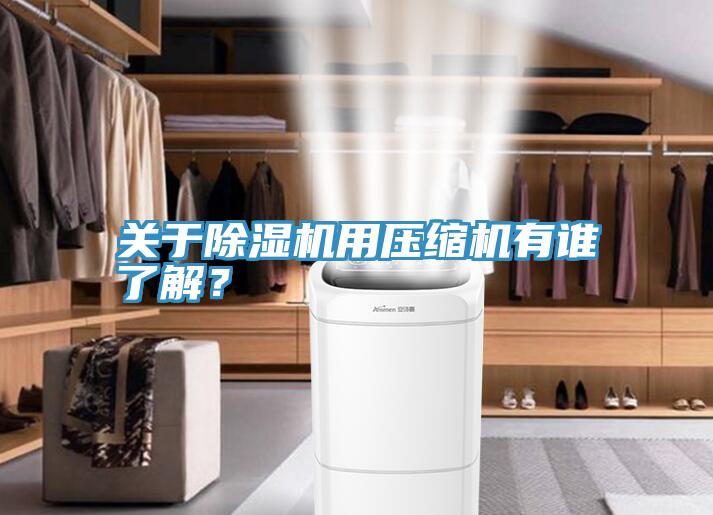 關於深夜福利视频网站用壓縮機有誰了解？
