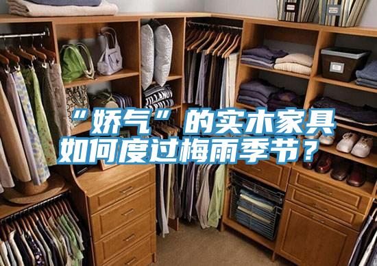 “嬌氣”的實木家具如何度過梅雨季節？