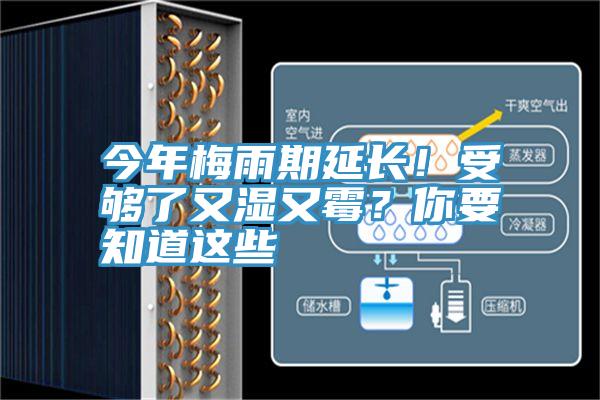 今年梅雨期延長！受夠了又濕又黴？你要知道這些