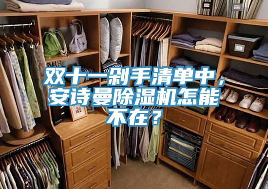 雙十一剁手清單中，深夜在线视频深夜福利视频网站怎能不在？