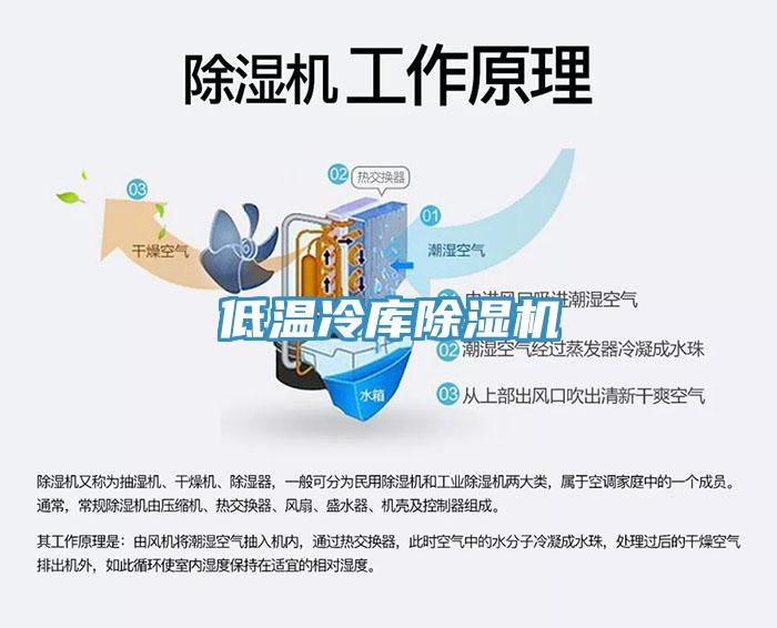 低溫冷庫深夜福利视频网站
