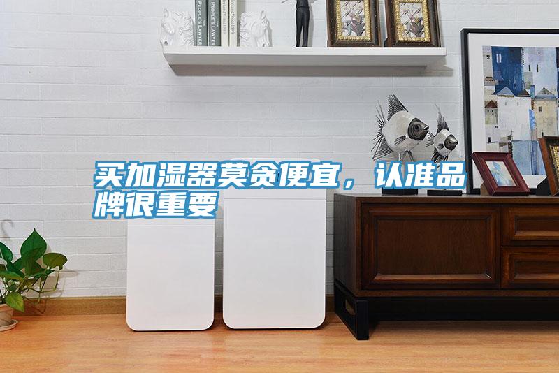 買加濕器莫貪便宜，認準品牌很重要