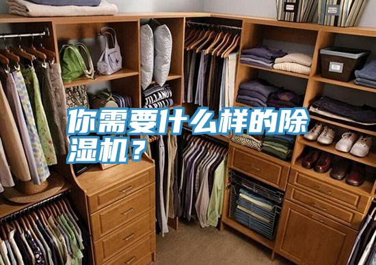 你需要什麽樣的深夜福利视频网站？