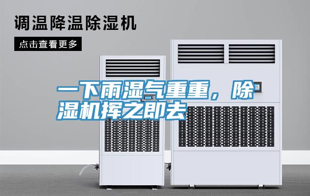 一下雨濕氣重重，深夜福利视频网站揮之即去