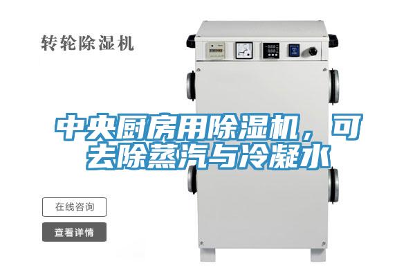 中央廚房用深夜福利视频网站，可去除蒸汽與冷凝水
