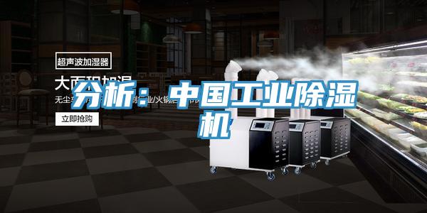 分析：中國工業深夜福利视频网站