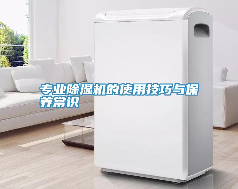 專業深夜福利视频网站的使用技巧與保養常識