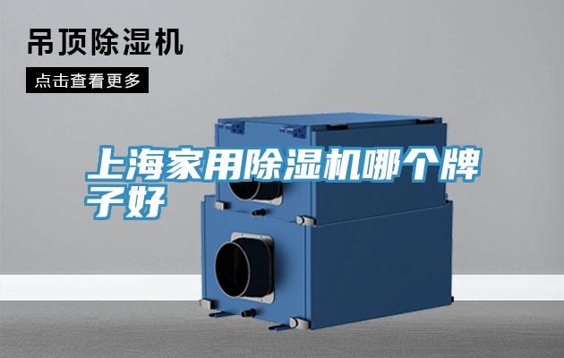 上海家用深夜福利视频网站哪個牌子好