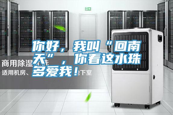你好，我叫“回南天”，你看這水珠多愛我！