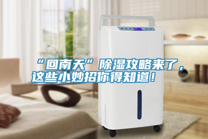 “回南天”除濕攻略來了，這些小妙招你得知道！