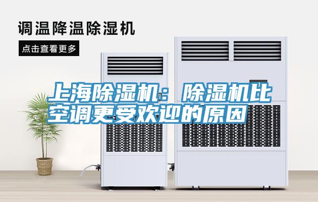 上海深夜福利视频网站：深夜福利视频网站比空調更受歡迎的原因