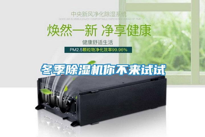 冬季深夜福利视频网站你不來試試