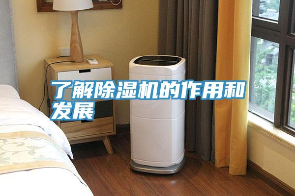 了解深夜福利视频网站的作用和發展