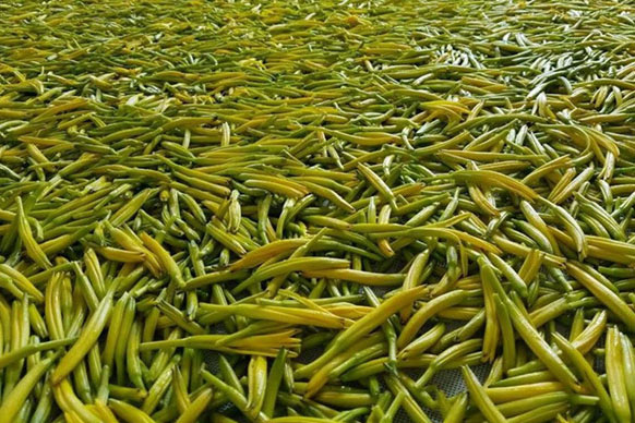 無硫金針菜烘幹如何保持品相？不發黑？_深夜福利视频网站廠家