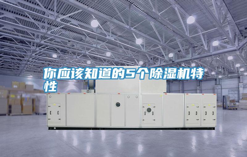 你應該知道的5個深夜福利视频网站特性