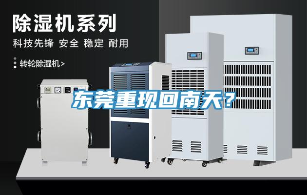 東莞重現回南天？