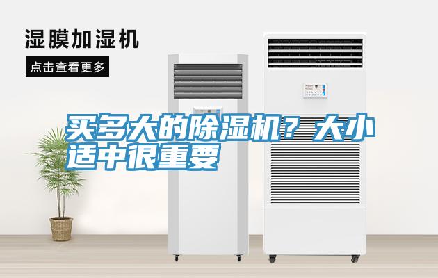 買多大的深夜福利视频网站？大小適中很重要