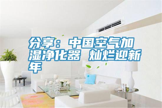 分享：中國空氣加濕淨化器 燦爛迎新年