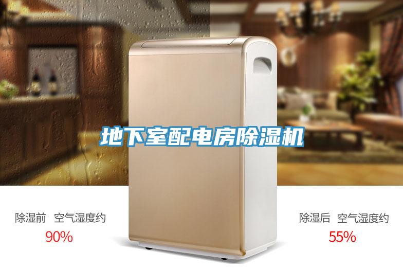 地下室配電房深夜福利视频网站