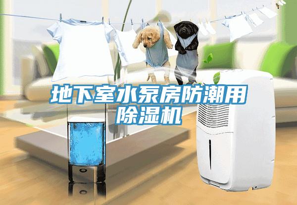 地下室水泵房防潮用深夜福利视频网站